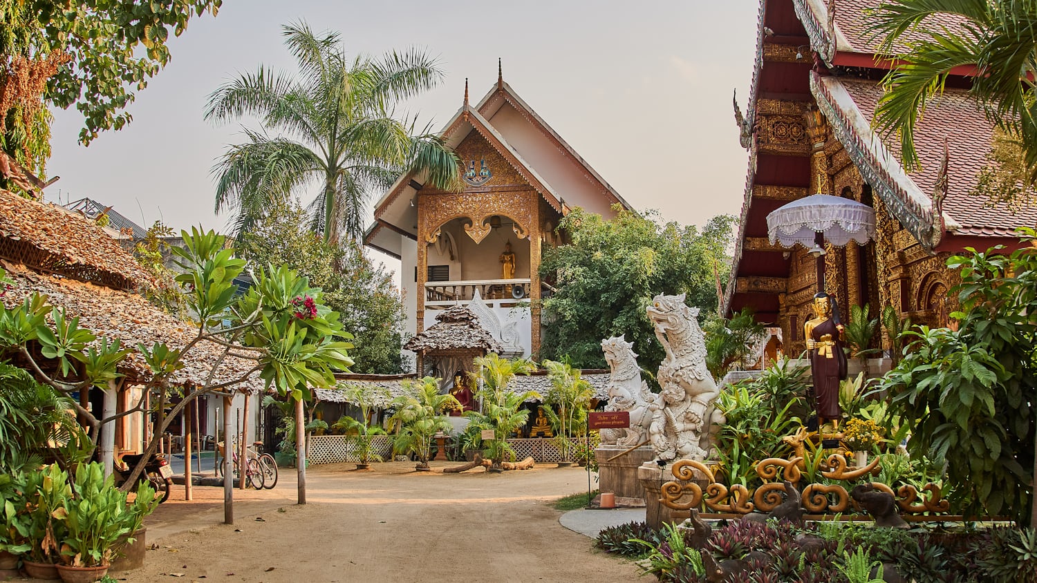 A peaceful temple garden in Chiang Mai's old city in warm evening light